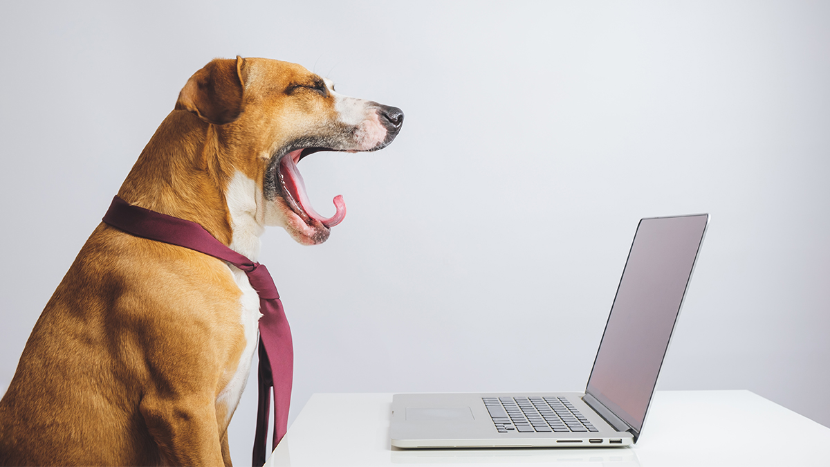 Sales Training, Account Management Training Melbourne