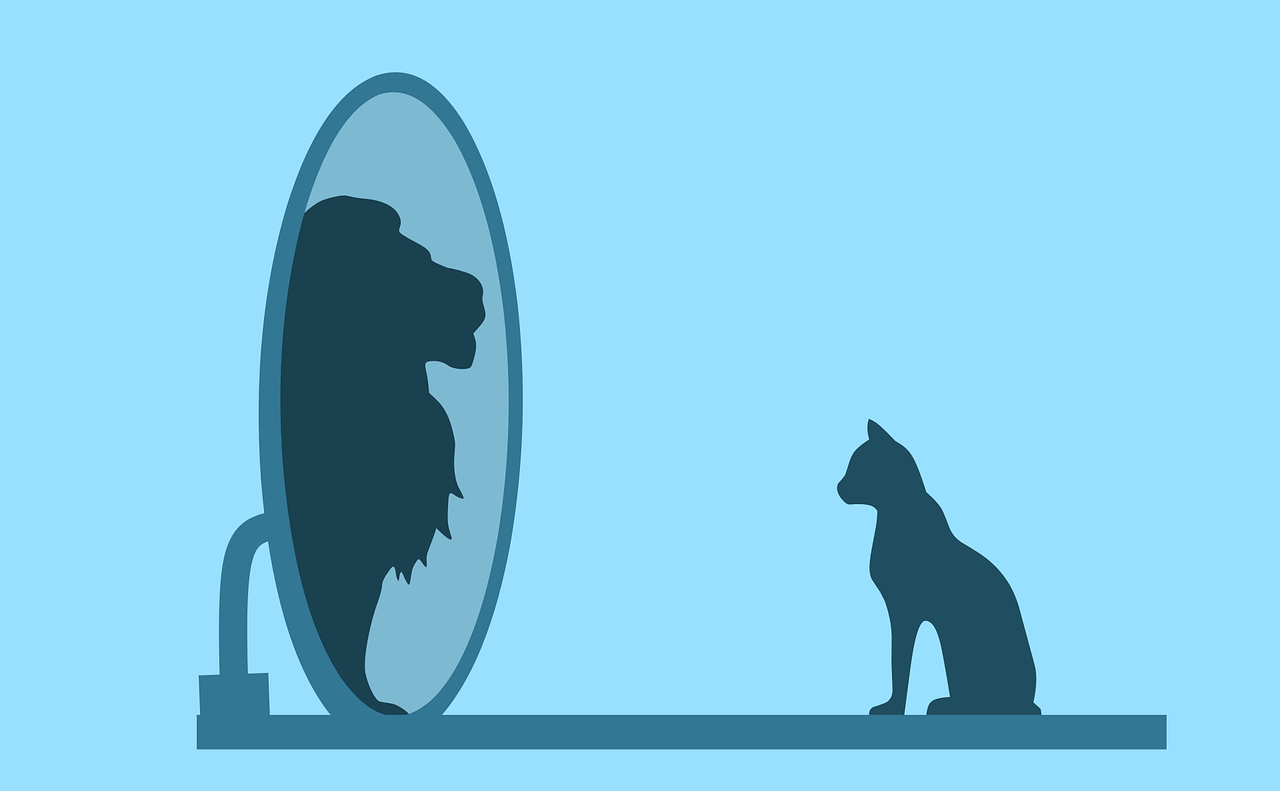 Exactly How Important Being Self-Confident Is When It Comes to Management and Leadership | by Ivan Popov | ILLUMINATION | Medium