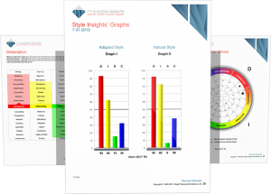 DISC Profiles Image of reports