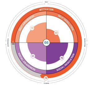 Emotional intelligence wheel chart image of profile. 