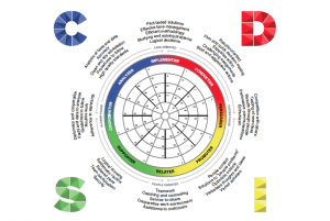 the disc model explained kona training