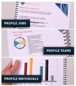 workplace-motivators-profile-areas-of-business-use