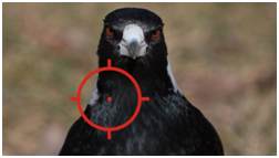 Do you salespeople have their eyes on the target?