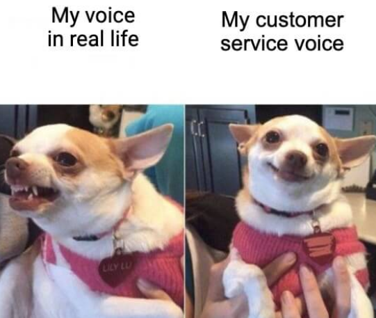 Customer service vs. real life.
