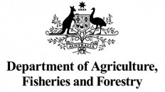 DAFF logo
